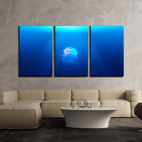 Artwork - 25