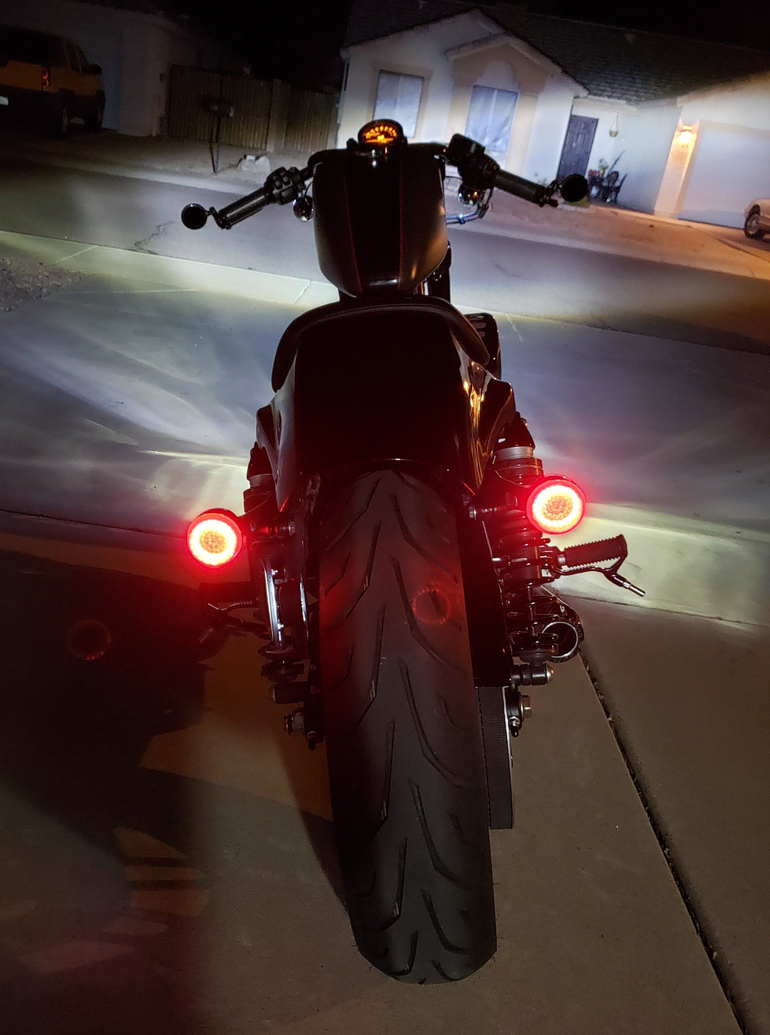 Eagle Lights 2