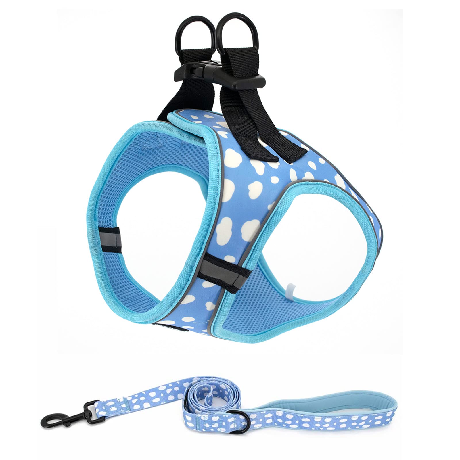 Adjustable Mesh Dog Harness & Leash Set for Small Dogs & Puppies - Comfortable Step-in Vest Harness for Walking, Training & Outdoor Adventures