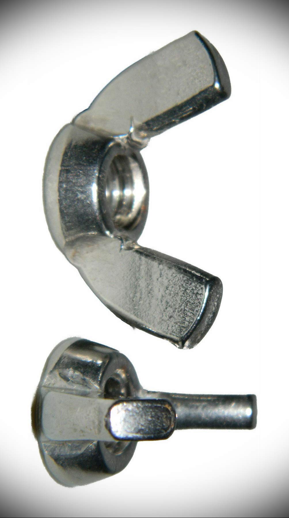 50-Pack 10-24 Wing Nuts, 18-8 Stainless Steel Metric Fastener Kit - Perfect for DIY Projects, Plumbing, and Automotive Repairs