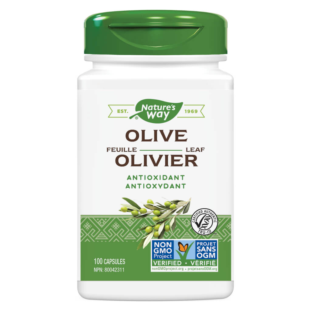 Organic Olive Leaf Extract - Natural Immune Support Supplement for Wellness & Vitality | Antioxidant-Rich Herbal Remedy for Daily Health Boost | Perfect for Tea, Smoothies & Wellness Routines
