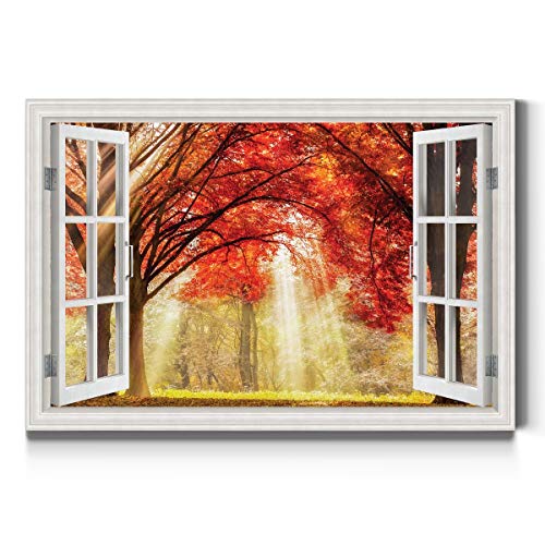 Autumn Rays