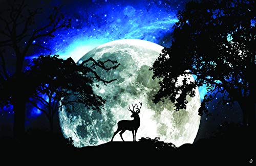 Moonlight Deer