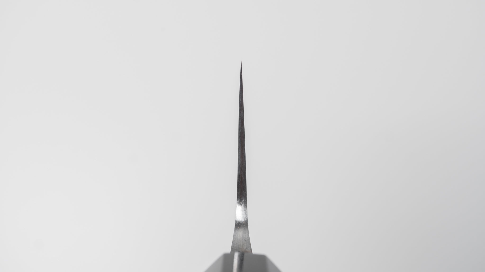 Premium Jiro Tsuchime Wa Gyuto 210mm Japanese Chef Knife with Taihei Tagayasan Handle (#704) - Perfect for Sushi, Sashimi & Precision Meat Cutting