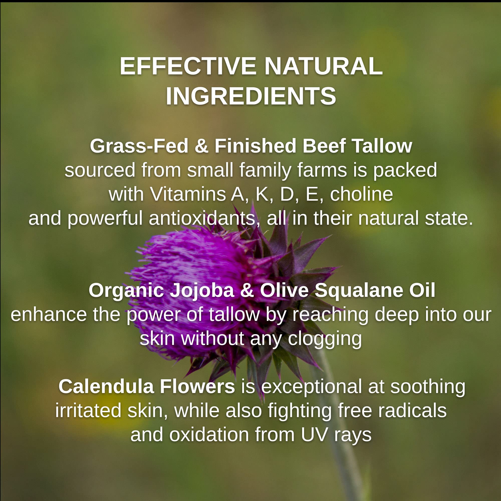 Tallow & Squalane Non-Comedogenic Face Balm - 100% Grass-Fed Tallow Moisturizer with Squalane & Calendula Flowers for Soft, Smooth Skin - 2 Oz (Mild Geranium Rose + Lavender) - Perfect for Dry Skin Care & Nighttime Hydration Routine