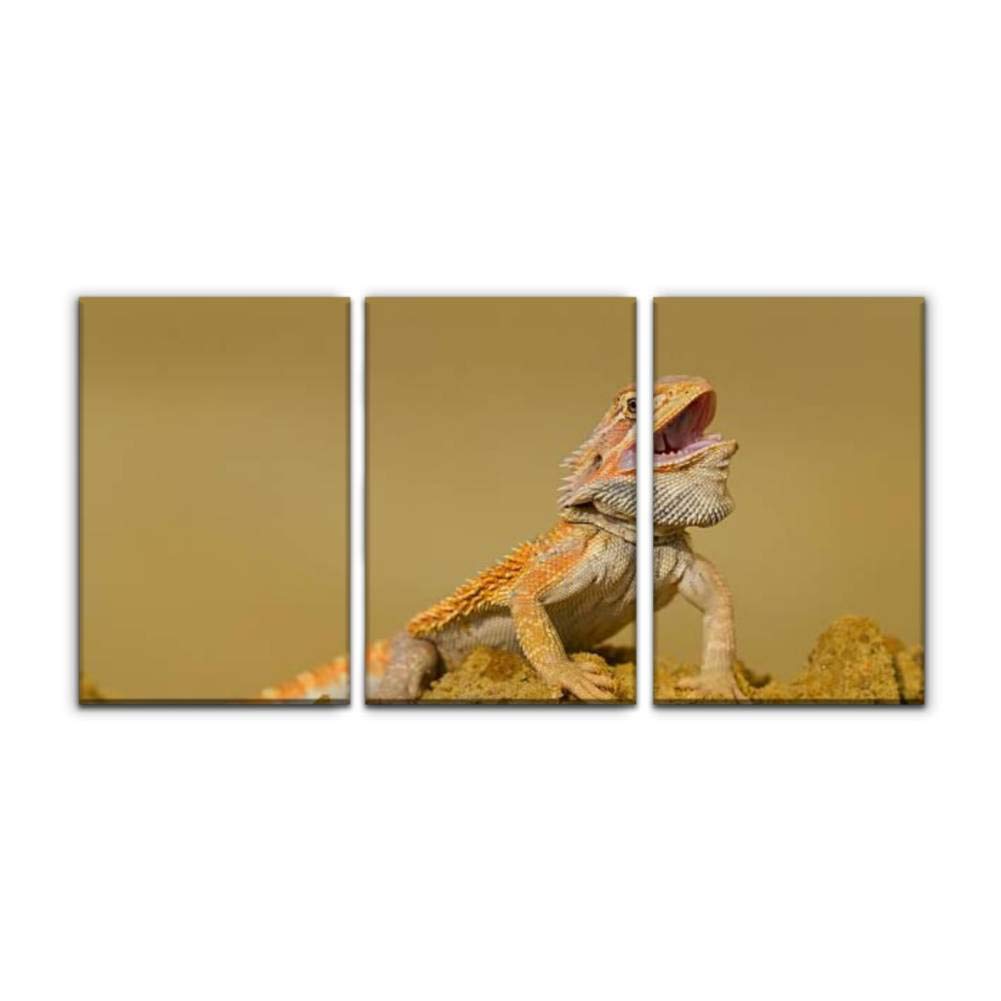Modern Canvas Wall Art - Central Bearded Dragon on The Rock - 3-Piece Framed Oil Painting Print for Home, Office & Bedroom Decor (16x24 Inches) - Perfect for Reptile Lovers' Spaces & Nature-Themed Interiors