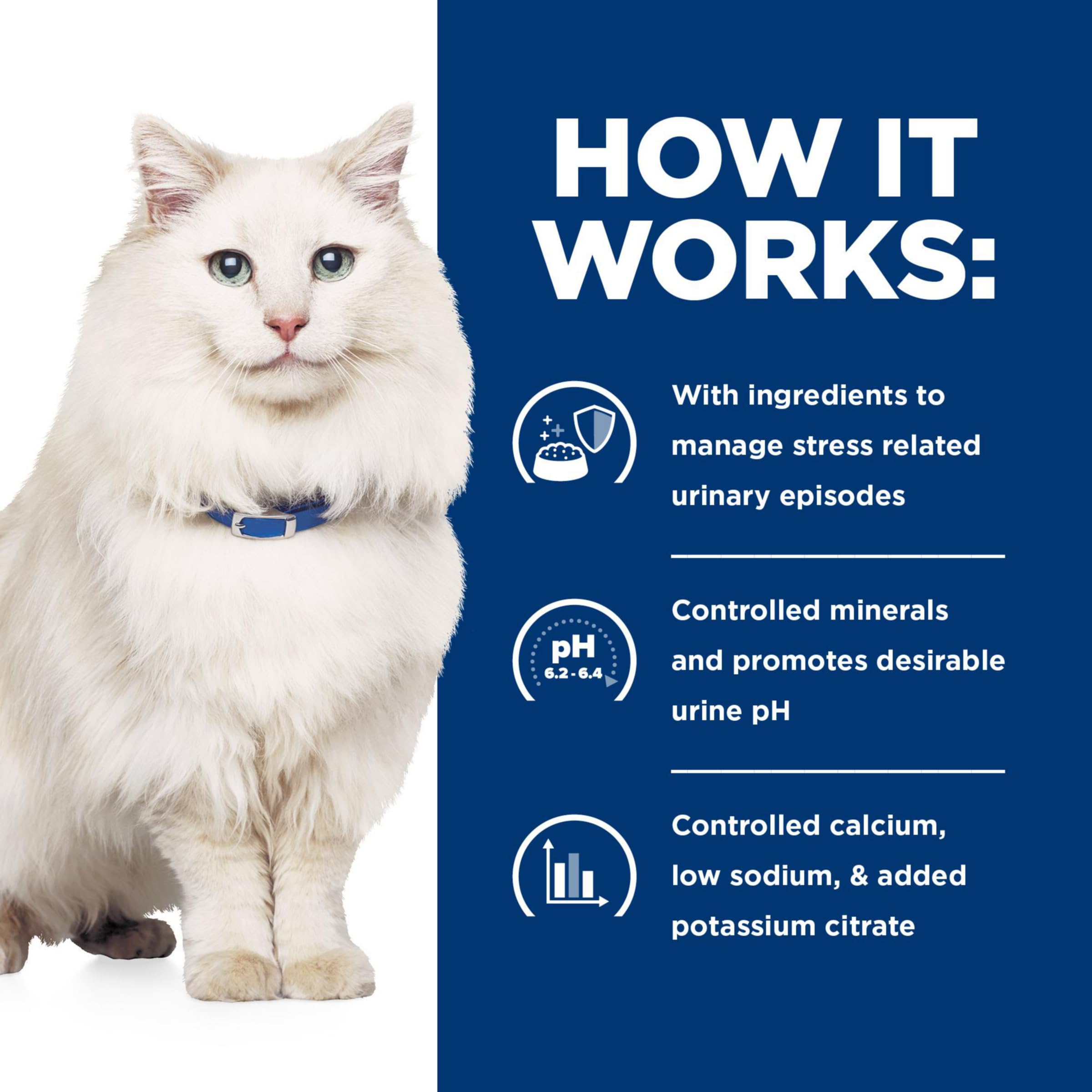 Hill's Prescription Diet c/d Multicare Stress Urinary Care Dry Cat Food - Ocean Fish Flavor - Veterinary Diet for Urinary Health - 17.6 lb Bag - Ideal for Cats with Urinary Issues at Home or Clinic