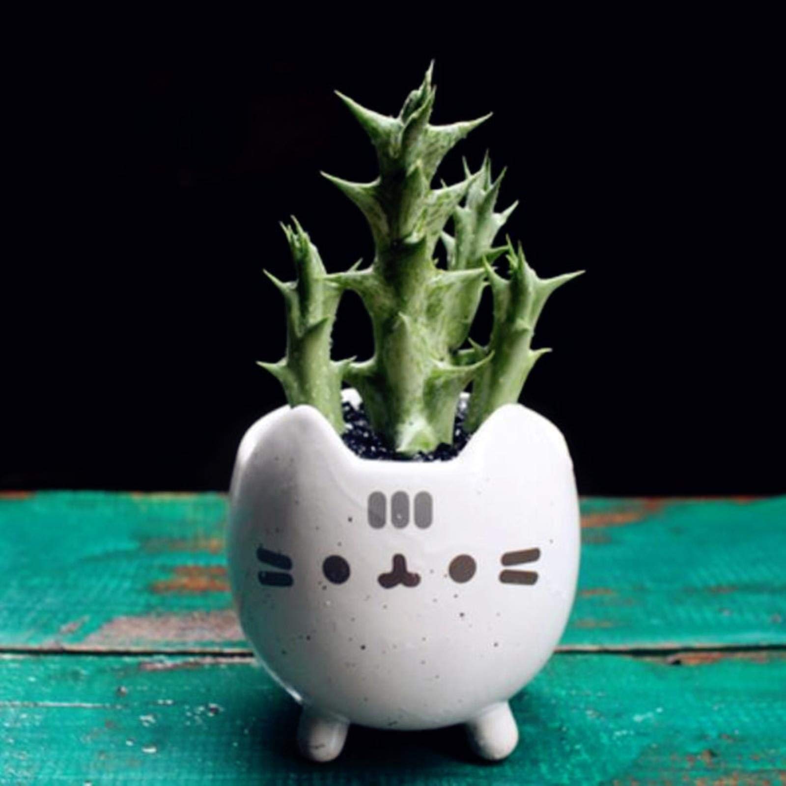 Adorable Cat-Shaped Flower Pot with Drainage Hole - Cute Succulent Planter, Animal Home & Garden Decor, Bonsai Pot - Perfect for Indoor Plants, Office Desk Decor, Birthday Gifts & Housewarming Presents