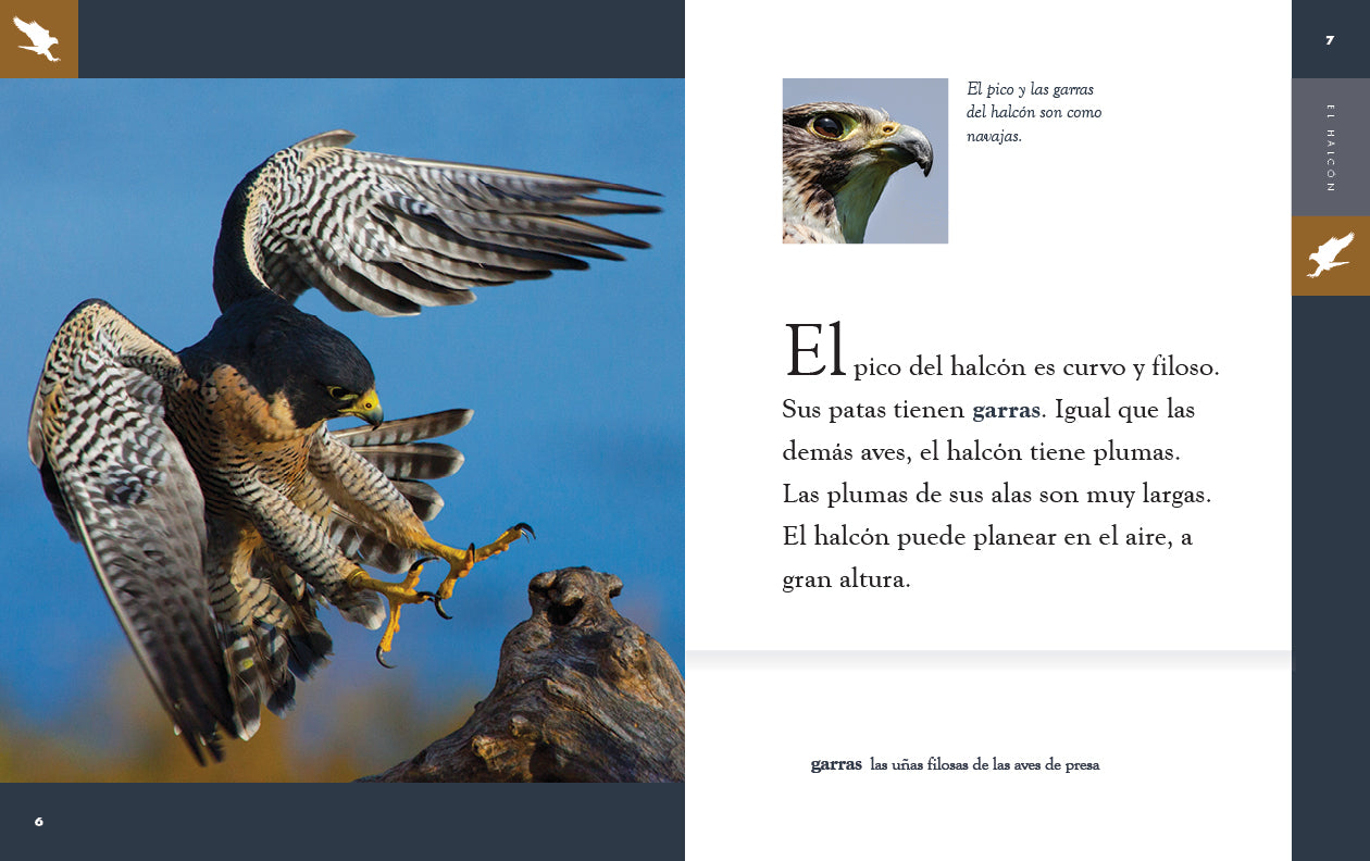 El Halcon 9781640266902 - Spanish Language Book for Adventure Lovers - Perfect for Reading, Gifts & Book Clubs