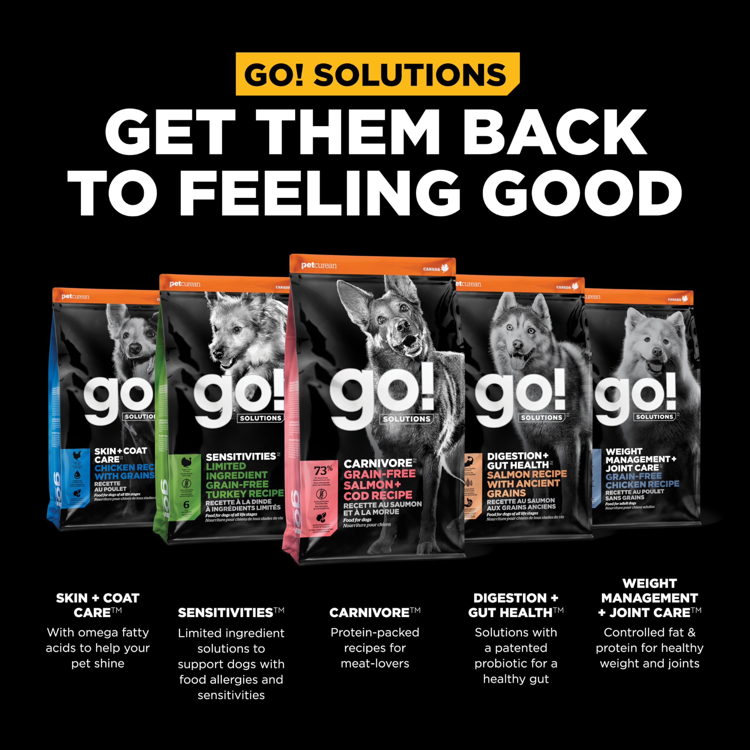 Go! Solutions Carnivore Grain-Free High Protein Dry Dog Food - Salmon & Cod Recipe, 12lb Bag for Adult Dogs - Perfect for Active Pets & Sensitive Stomachs
