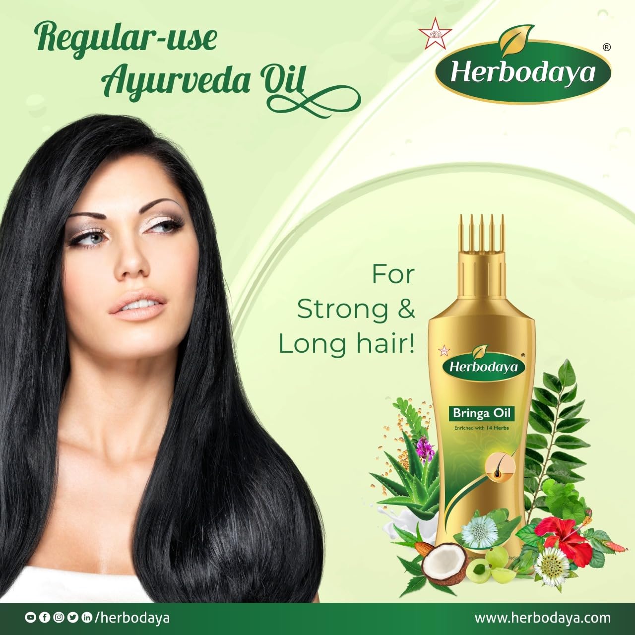 Herbodaya Bringa Oil - 50ml - 100% Natural Ayurvedic Hair Oil with 14 Herbs for Hair Growth, Dandruff & Scalp Care - Perfect for Daily Hair Massage & Night Treatment
