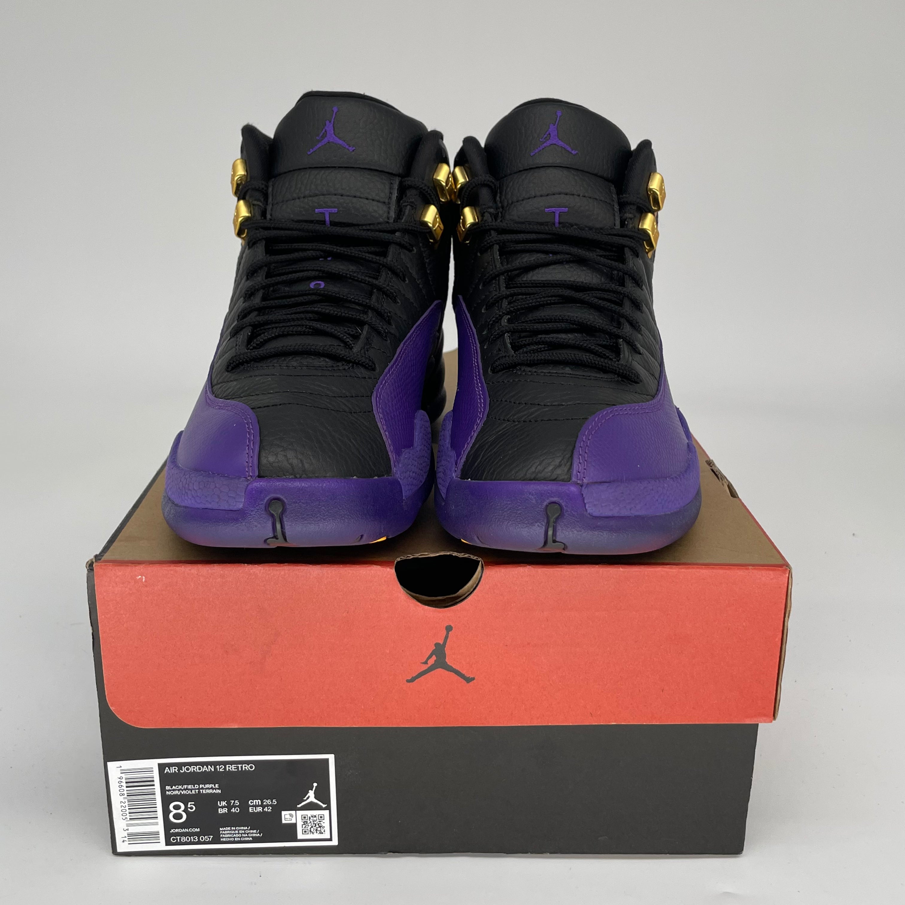 Air Jordan 12 Retro 