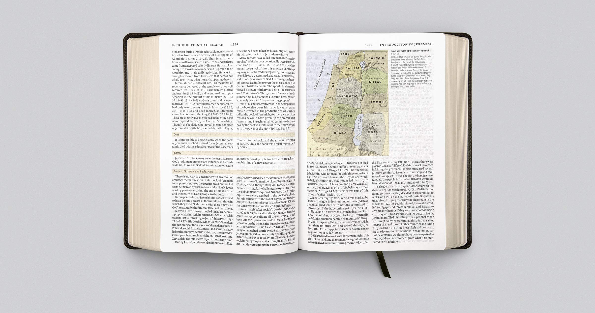 ESV Study Bible - TruTone Olive Branch Design Leather Bible for Men & Women | Perfect for Church, Bible Study Groups & Personal Devotion