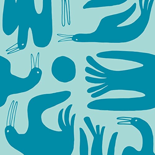 Coastal Birds