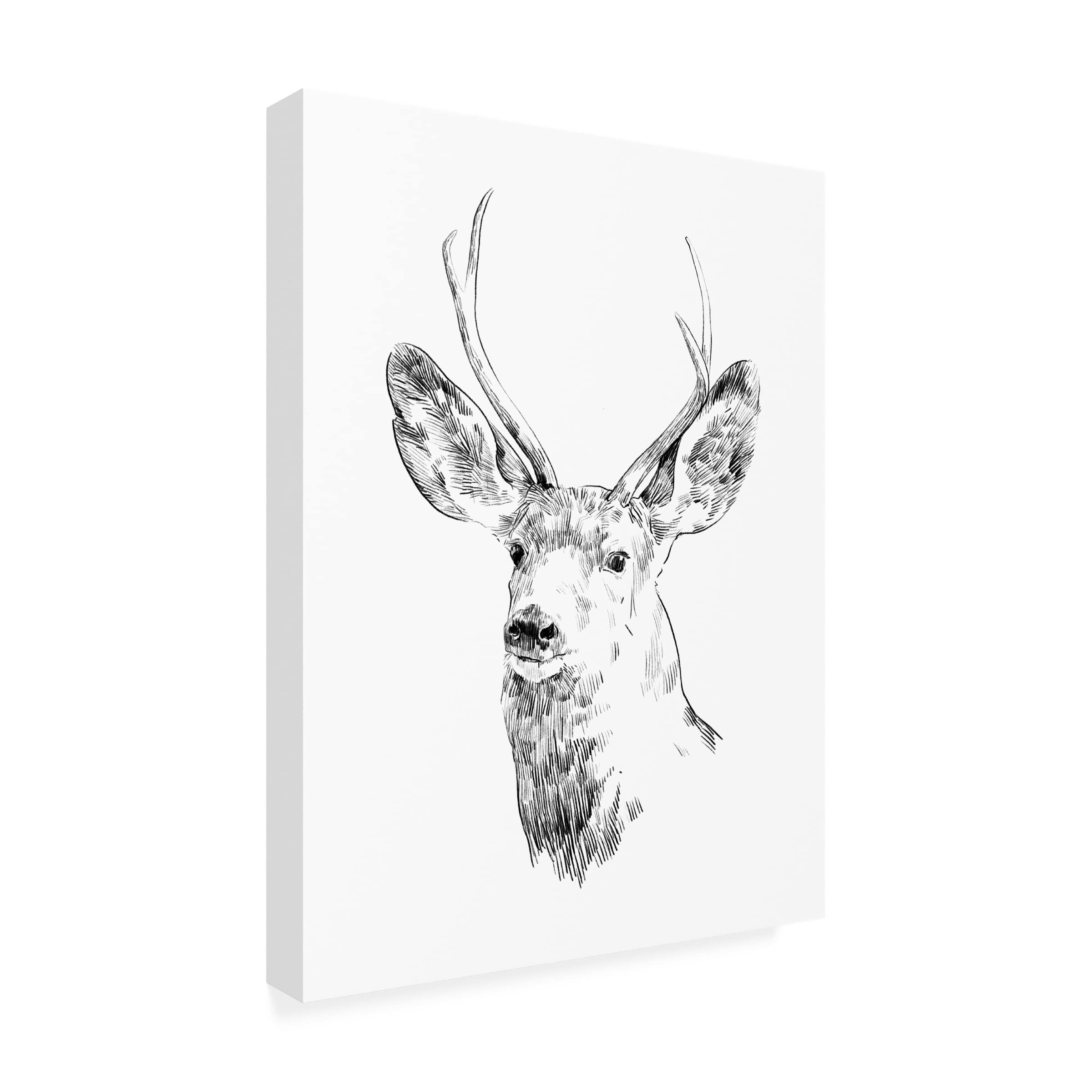 Emma Scarvey 'Young Buck Sketch IV' Canvas Wall Art Print - Modern Wildlife Decor for Living Room, Bedroom & Office