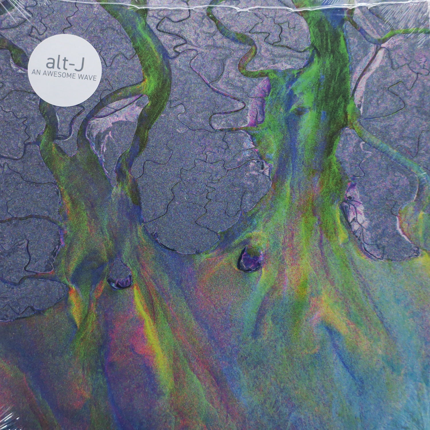 ALT J 'An Awesome Wave' Vinyl LP Record - Alternative Indie Rock Music Album for Home Listening & Vinyl Collection Enthusiasts