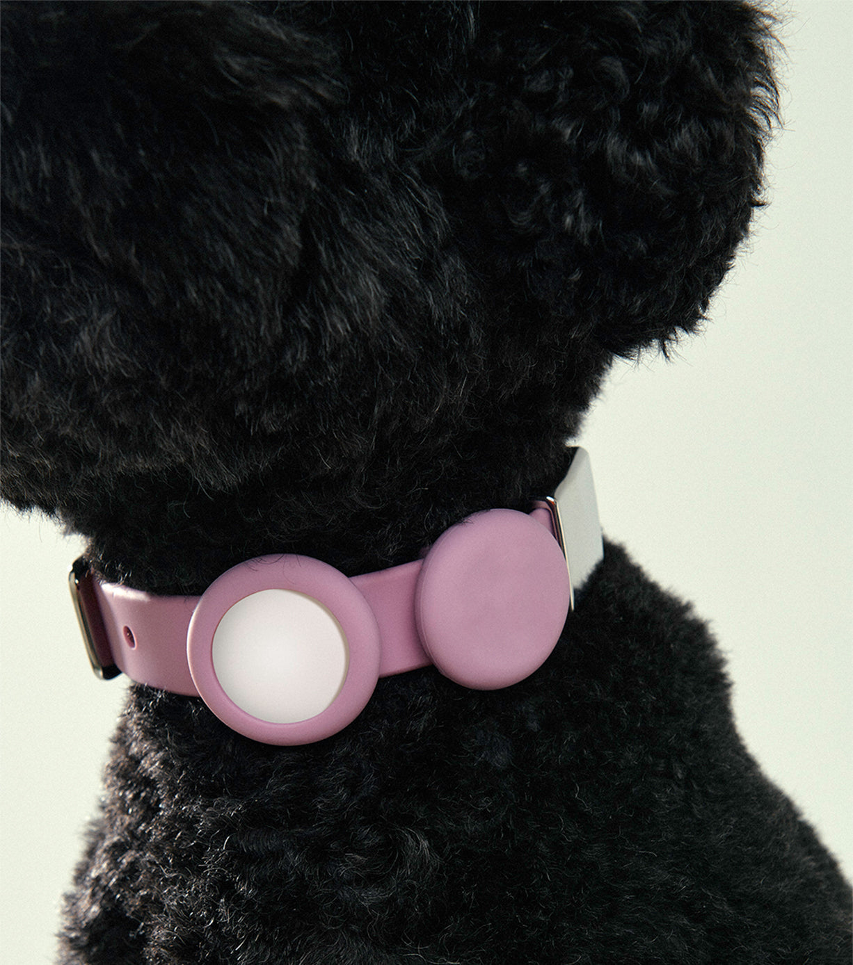 Universal Pet Safety Light - High Visibility LED Collar for Dogs & Cats - Perfect for Night Walks & Outdoor Adventures