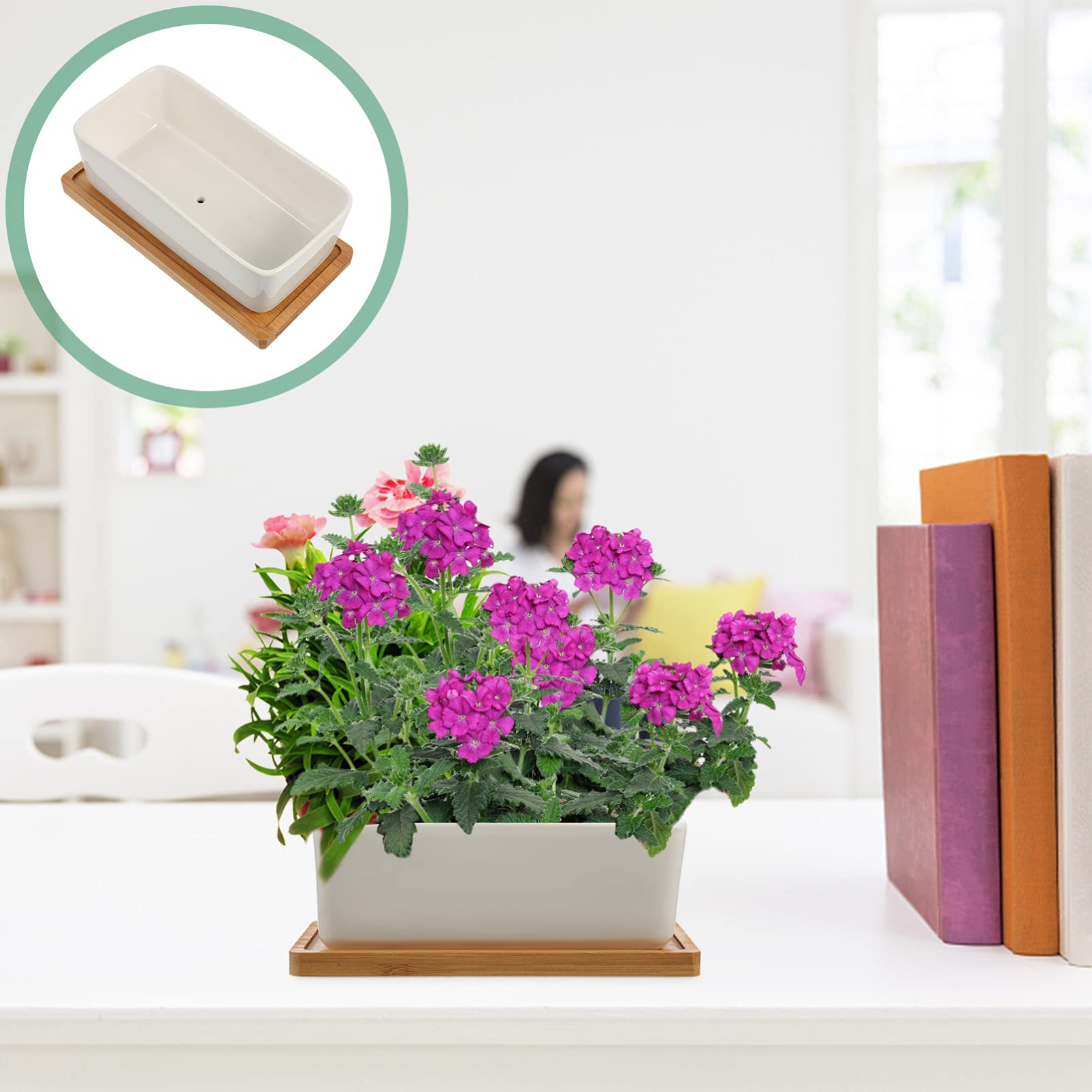 Happyyami 2 Pack Decorative Ceramic Flower Pots with Drainage Trays - Indoor Planters for Succulents, Herbs & Small Plants - Perfect for Home, Office & Windowsill Decor