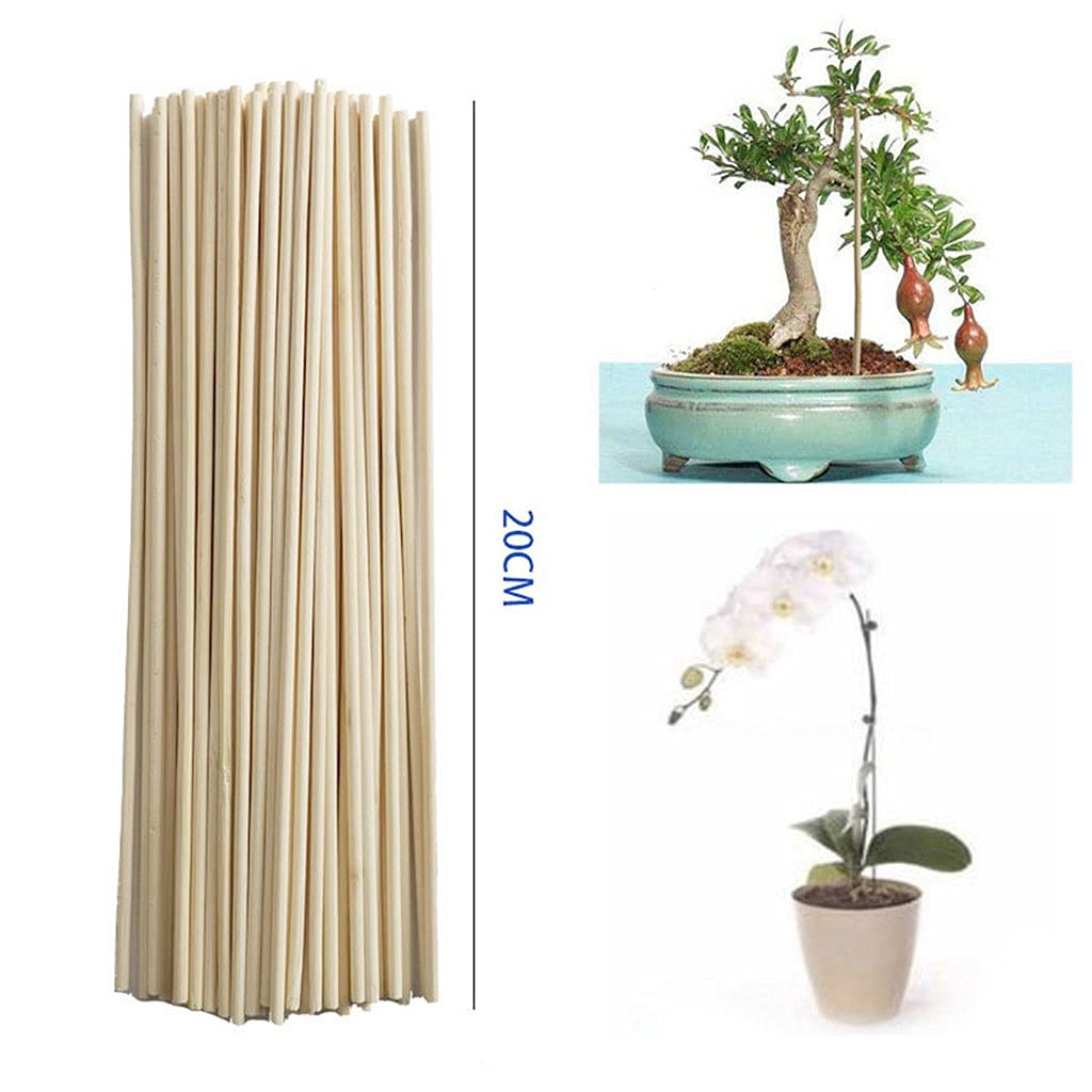 50pcs Bamboo Plant Support Sticks - Bonsai Branch Vine Gardening Tools for Plant Growth Support Rods | Perfect for Indoor/Outdoor Gardens, Greenhouses & DIY Plant Training