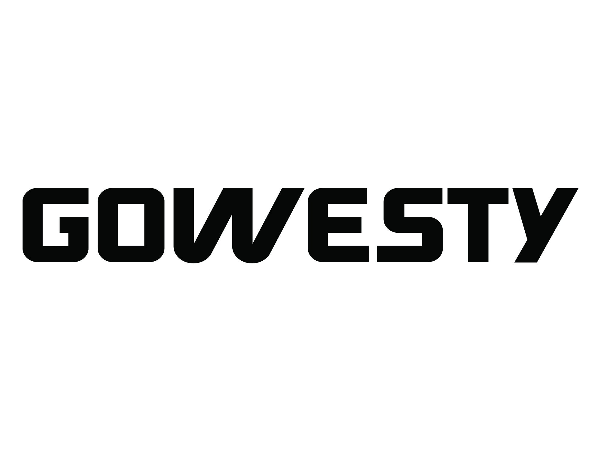 Gowesty Pop Top Decal for VW Bus & Vanagon - Waterproof Vinyl Sticker for Camper Van Customization - Perfect for Outdoor Adventures & Road Trips