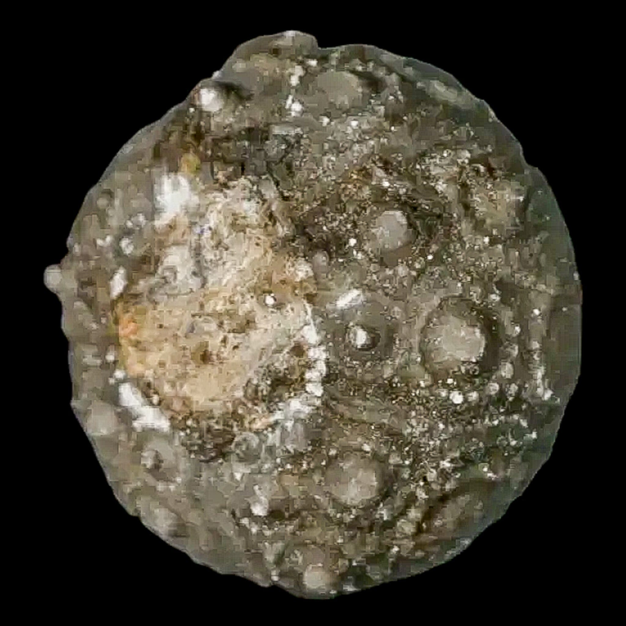 28MM Detailed Fossil Conopygus Sea Urchin Echinoid from Cretaceous Period - Morocco - Perfect for Fossil Collectors, Science Education & Home Decor