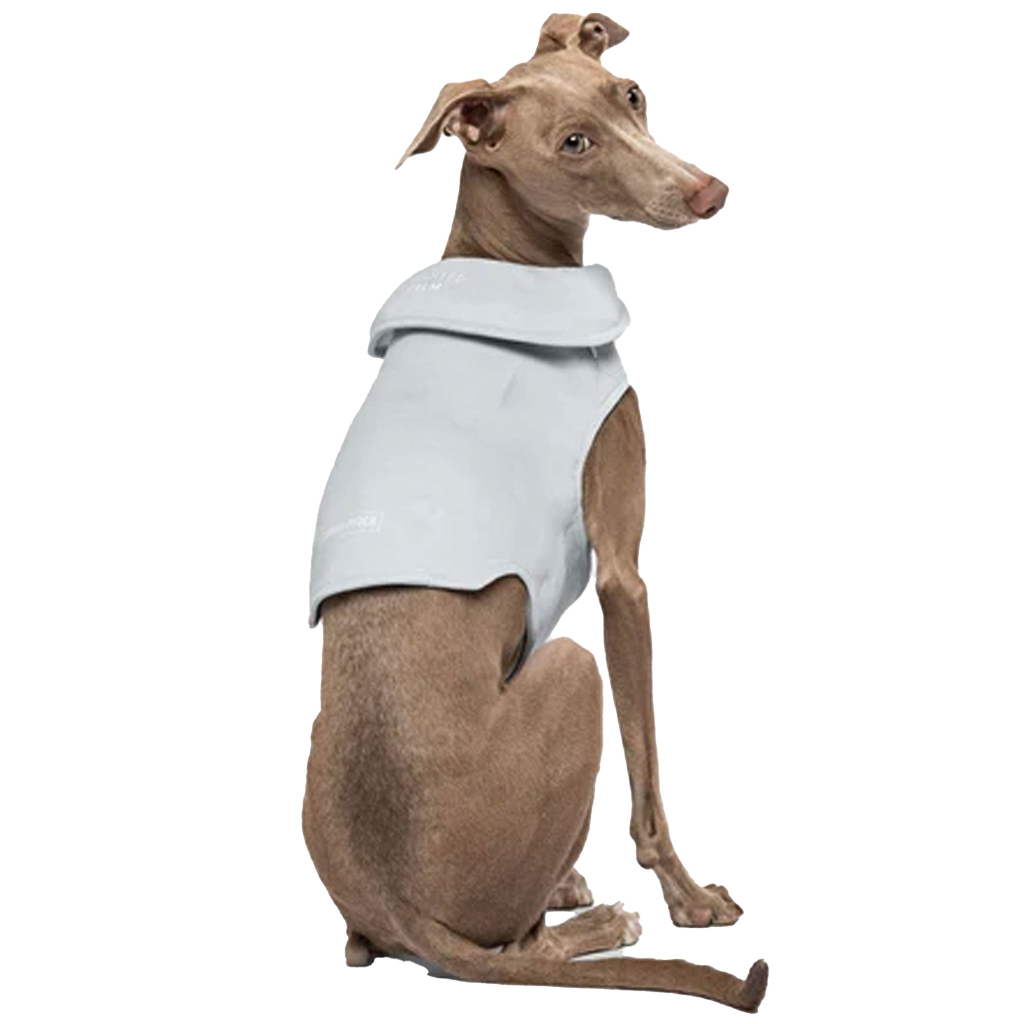 Canada Pooch Weighted Calming Vest for Dogs - Grey - Anxiety Relief & Stress Reduction for Pets - Perfect for Thunderstorms, Fireworks & Travel