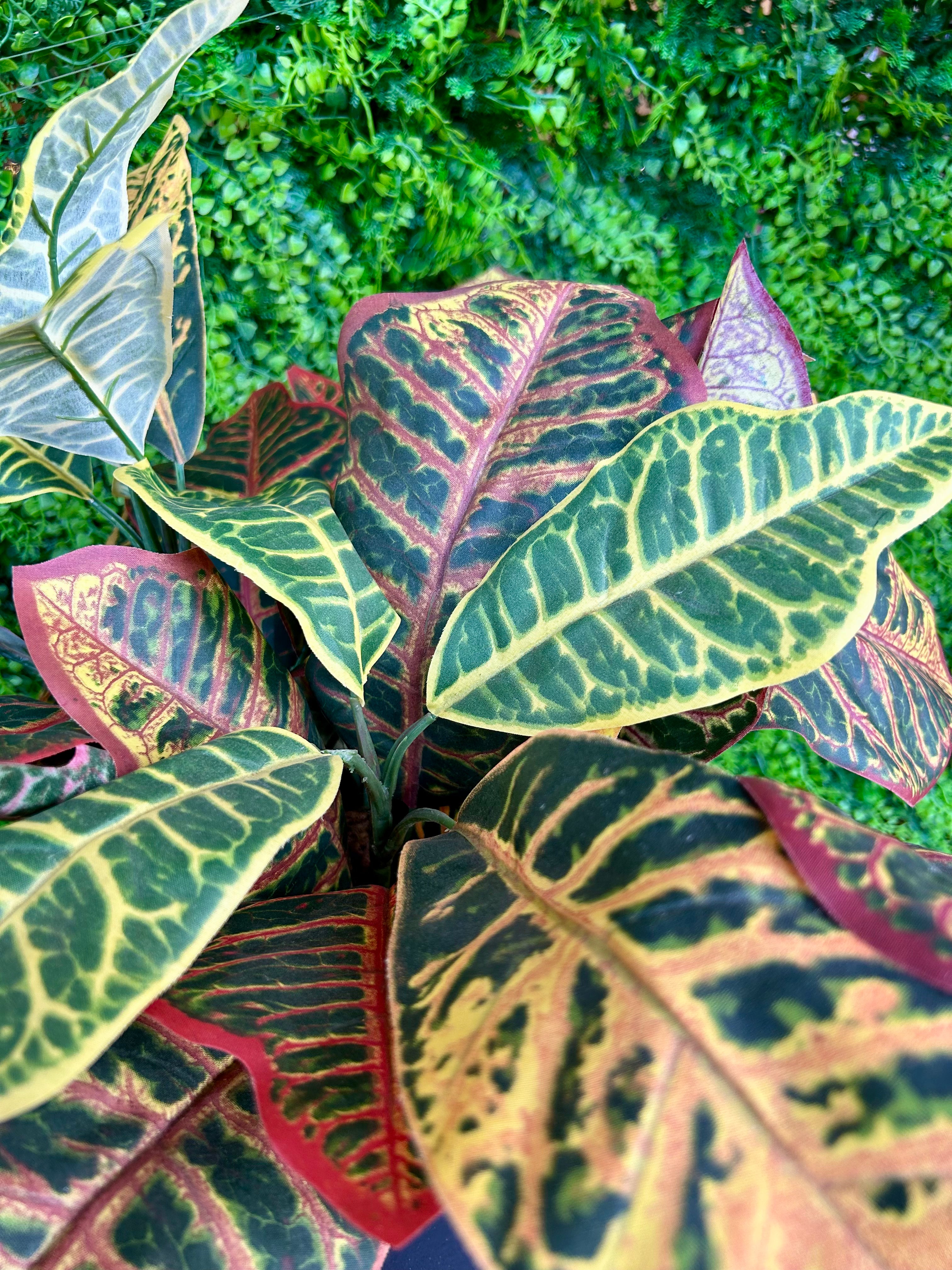 6 Inch Silk Potted Croton Artificial Plant - Realistic Faux Croton Houseplant for Home Decor, Office Desk, Living Room & Indoor Greenery