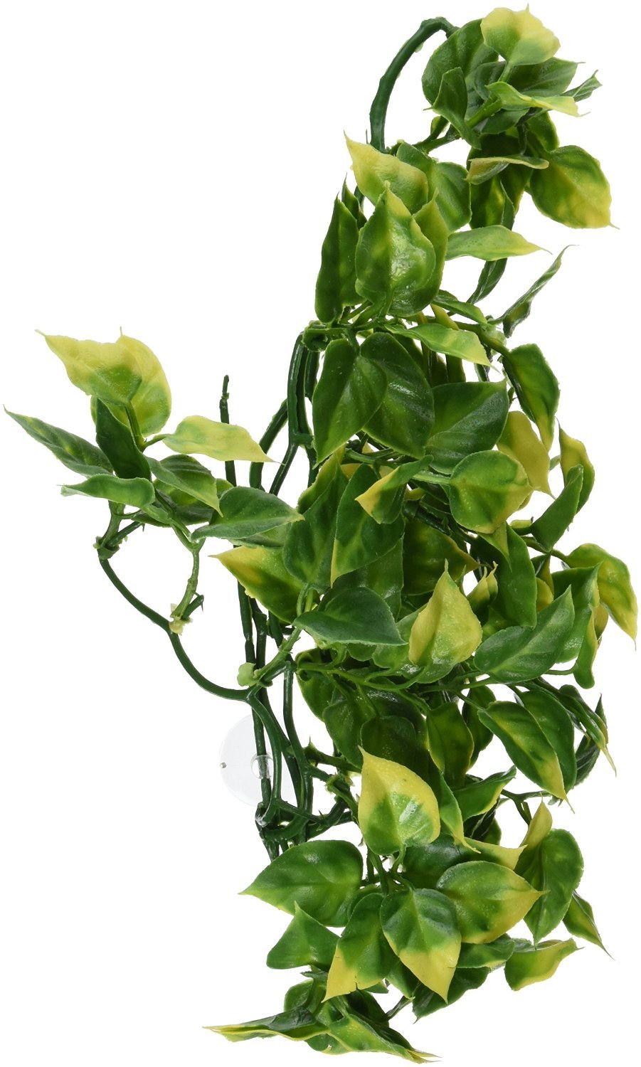 Exo Terra Medium Plastic Terrarium Plant - Amapallo for Reptile & Amphibian Habitat Decoration - Perfect for Vivariums, Terrariums & Reptile Enclosures