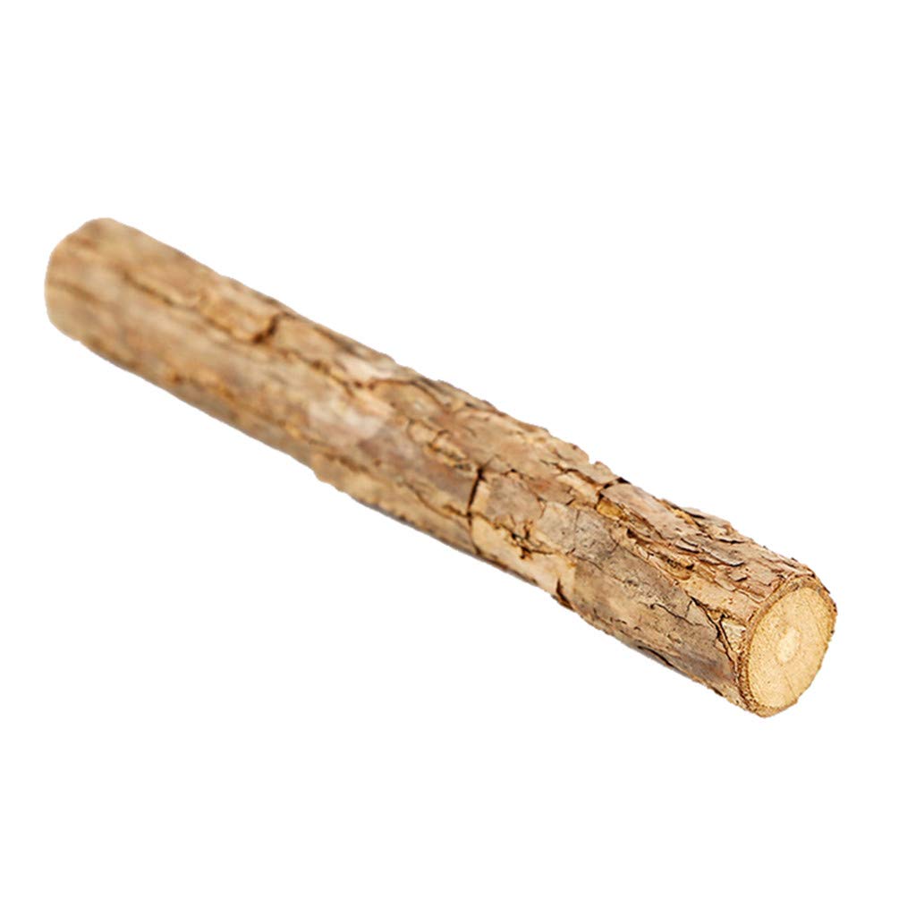 Dental Chew Toys for Cats - 10 Pack Pet Teeth Cleaning Sticks, Rubber Molar Chew Snacks for Oral Health | Perfect for Kittens & Adult Cats at Home or Travel