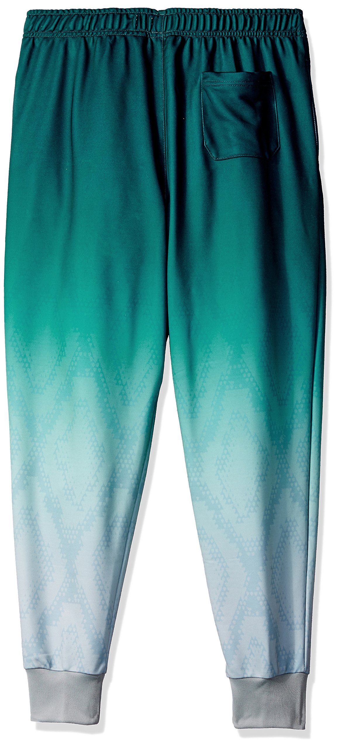 FOCO NFL Men's Gradient Jogger Pants - Breathable Polyester Workout Pants for Running, Gym & Lounge - Officially Licensed Football Apparel