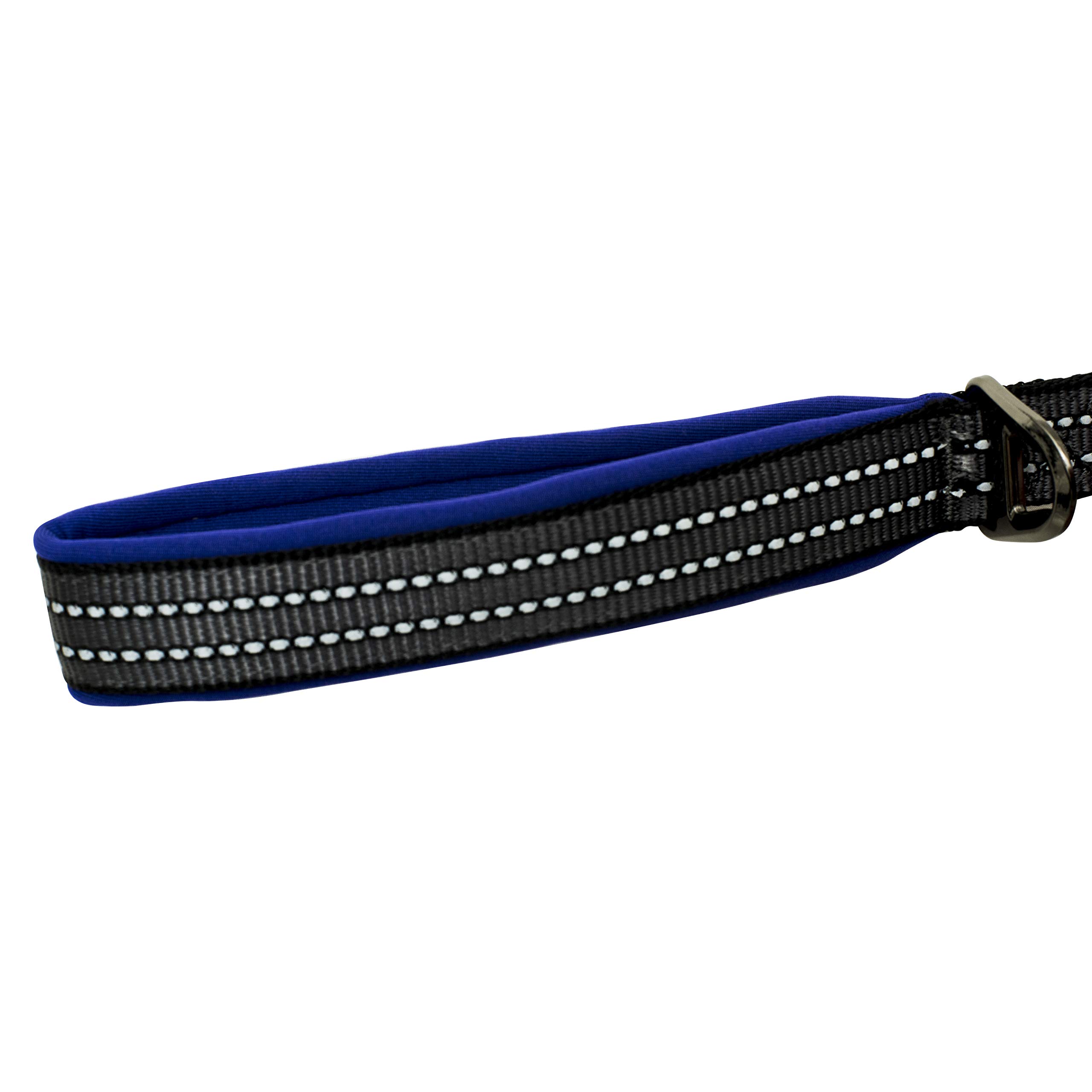 Franklin Pet Supply Co. Reflective Nylon Dog Leash with Comfort-Fit Neoprene Handle - 6 Foot Heavy Duty Leash for Dog Training, Walking & Outdoor Adventures - Perfect for Small, Medium & Large Dogs