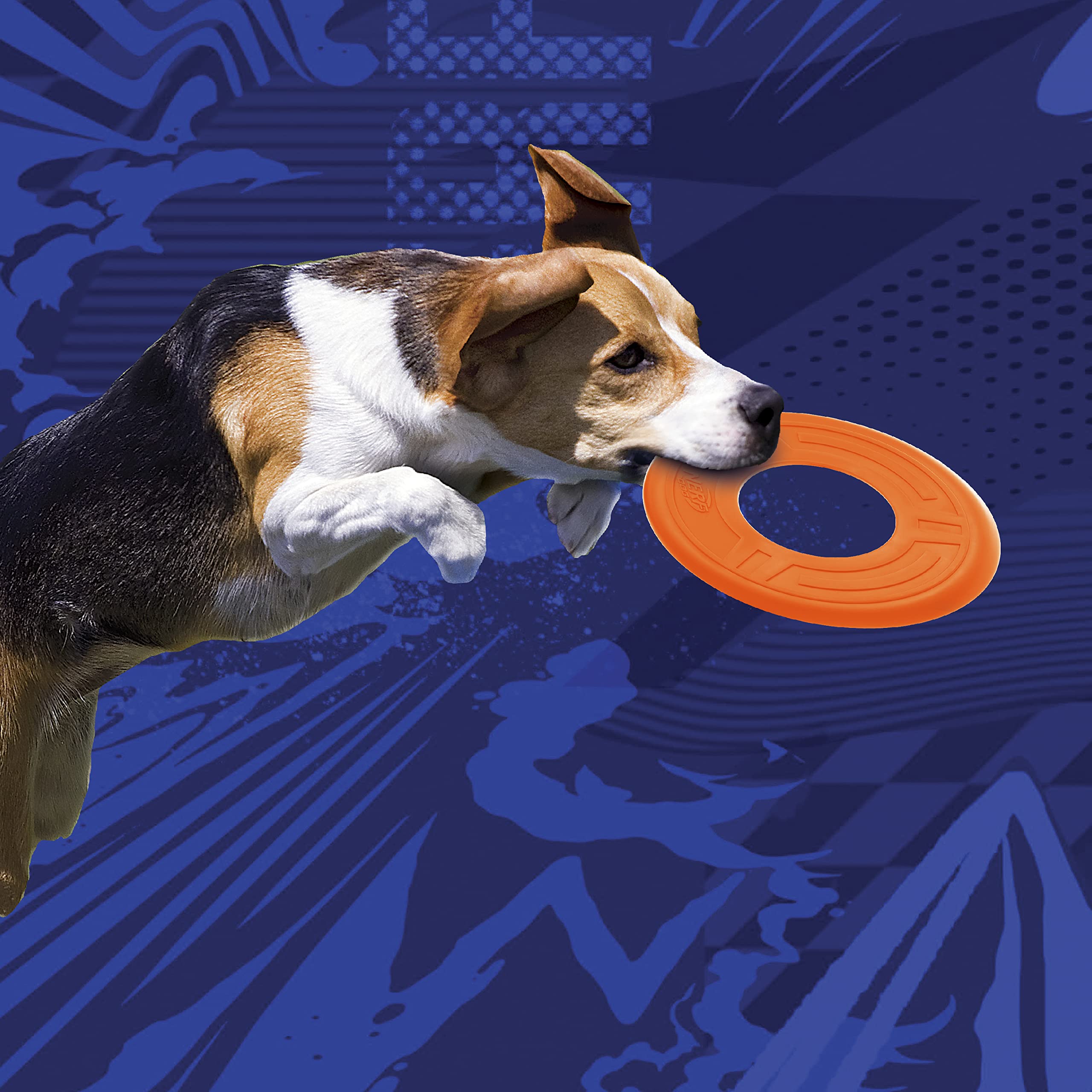 Nerf Dog Atomic Flyer - 10 Inch Durable Rubber Flying Disc Dog Toy for Medium & Large Breeds - Outdoor Fetch Toy for Active Dogs - Perfect for Beach, Park & Backyard Playtime