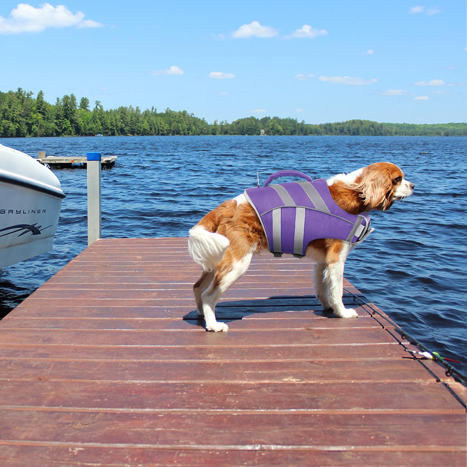 Kuoser Dog Life Jacket with Reflective Stripes & Adjustable Straps - High Visibility Ripstop Pet Life Vest for Small, Medium & Large Dogs - Perfect for Swimming, Boating & Water Safety
