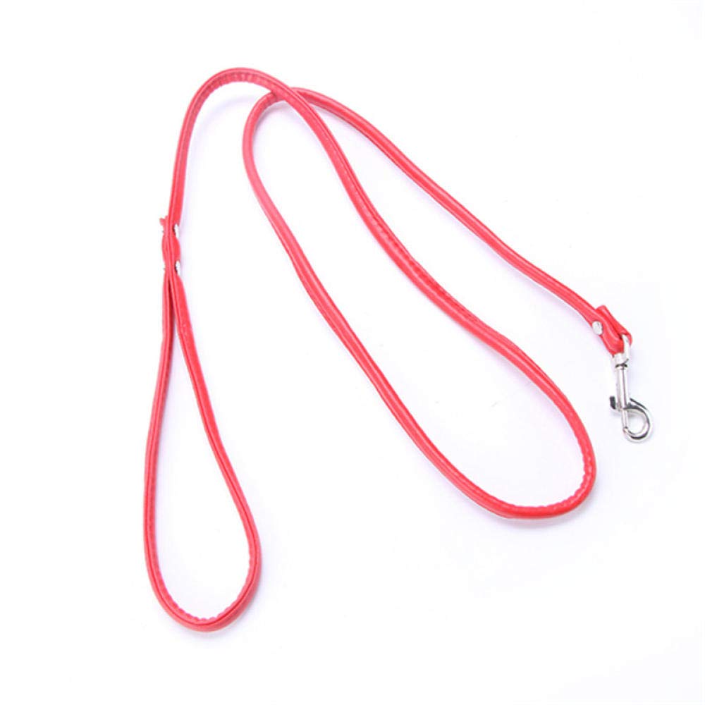Durable Outdoor Dog Leash for Puppies & Cats - Perfect for Walking & Training