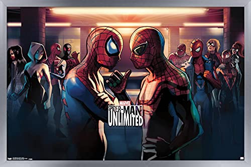 Silver Framed Version