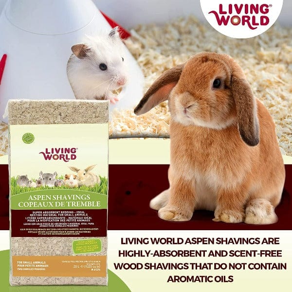 Living World Aspen Shavings for Small Animals - Natural Bedding for Hamsters, Rabbits & Guinea Pigs - Dust-Free Small Pet Cage Liner for Comfort & Odor Control