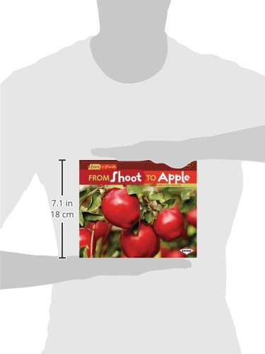 From Shoot to Apple: Complete Guide to Fruit Growth Process (Start to Finish Series 2) | Perfect for Gardening Enthusiasts & Botany Students