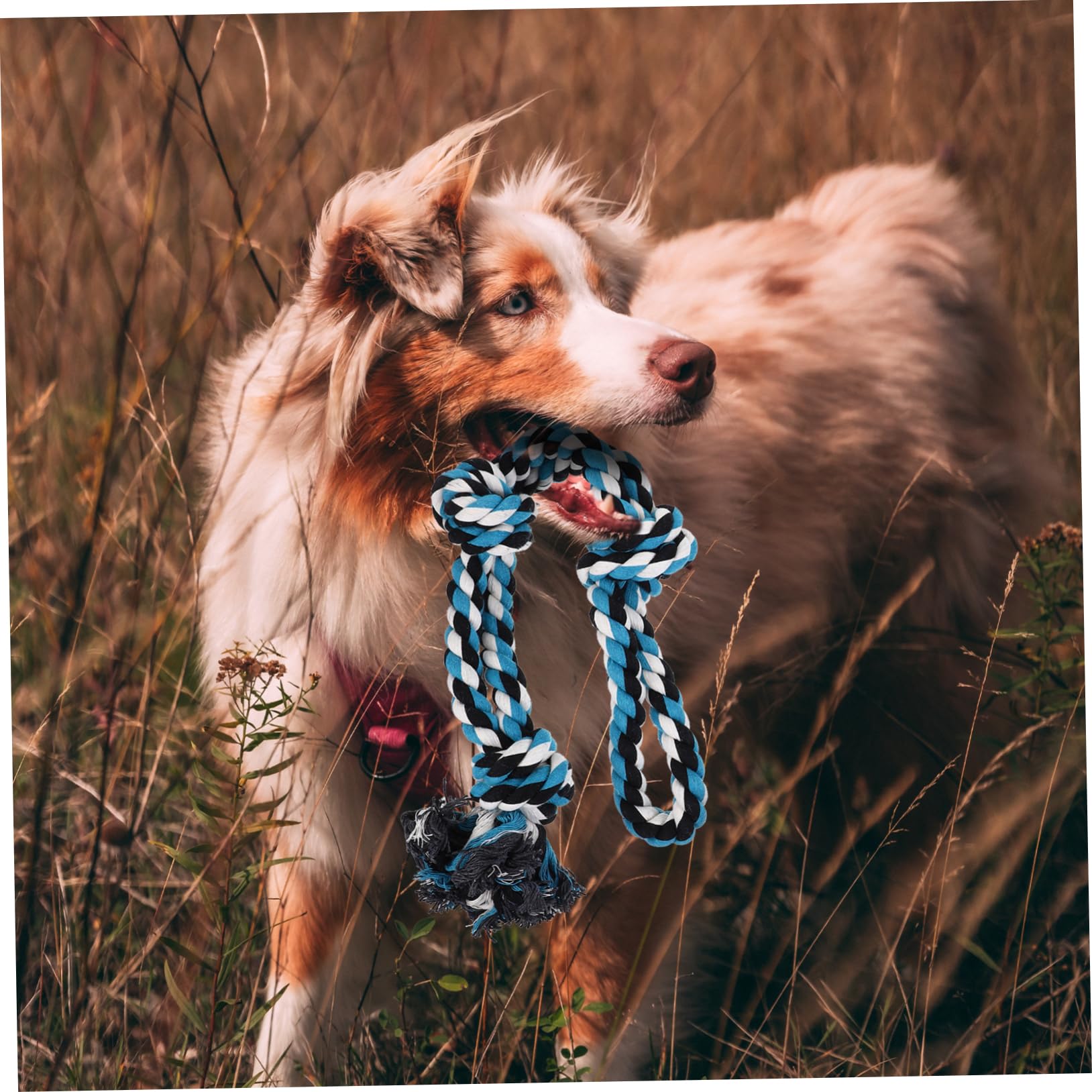 Hemp Spring Pole for Dogs - Durable Pet Spring Pole Rope Toy for Large & Small Dogs - Outdoor Dog Exercise Equipment for Backyard Training & Play
