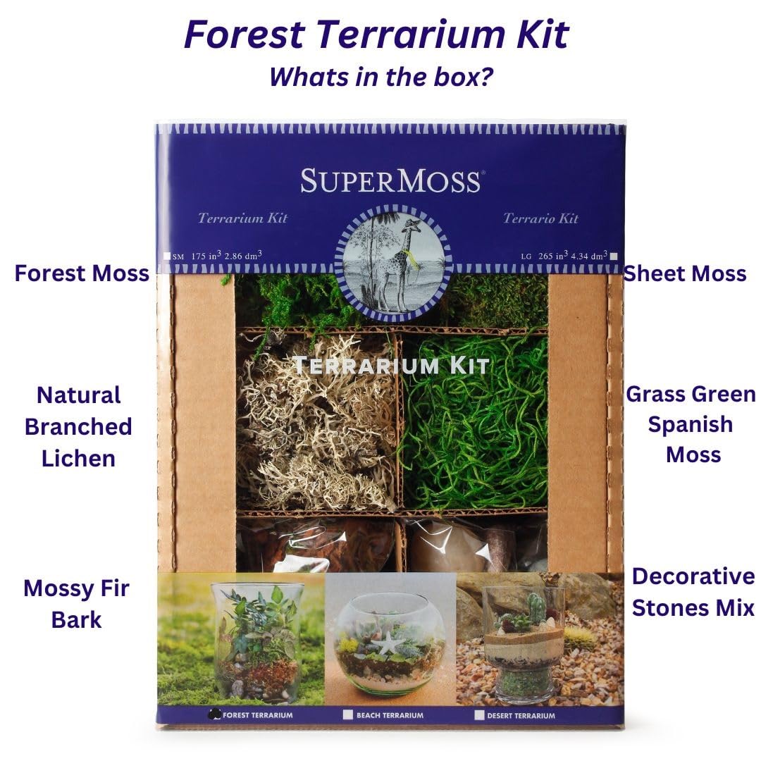 SuperMoss (90421) Premium Terrarium Kit - 8 oz Forest Moss for DIY Plant Terrariums, Fairy Gardens & Indoor Decor | Natural Decorative Moss for Home, Office & Gift Ideas