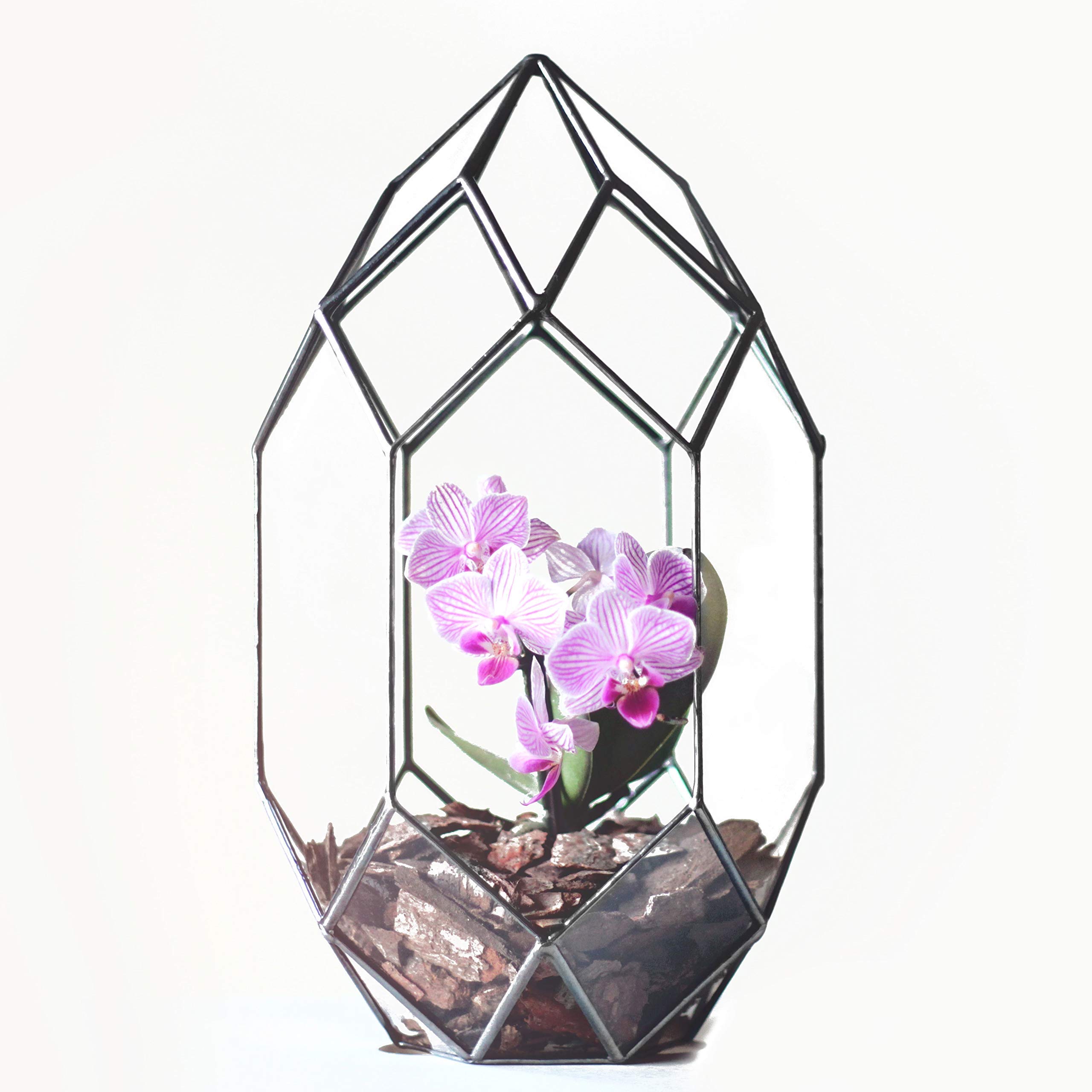 Modern Geometric Glass Orchid Planter - Large Terrarium Container for Home Decor, Wedding Table Centerpiece, Housewarming & Anniversary Gift (Copper, Silver, Black) | Perfect for Indoor Plants, Succulents & Floral Arrangements