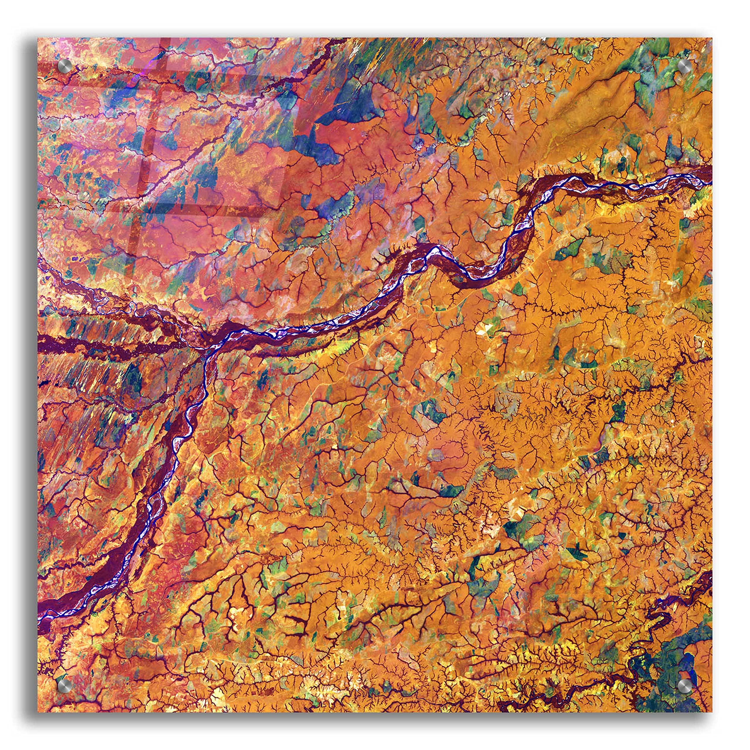Epic Art 'Earth as Art: Capillaries' - 24x24 Inch Modern Acrylic Glass Wall Decor - Stunning Home & Office Wall Art for Living Room, Bedroom or Contemporary Spaces