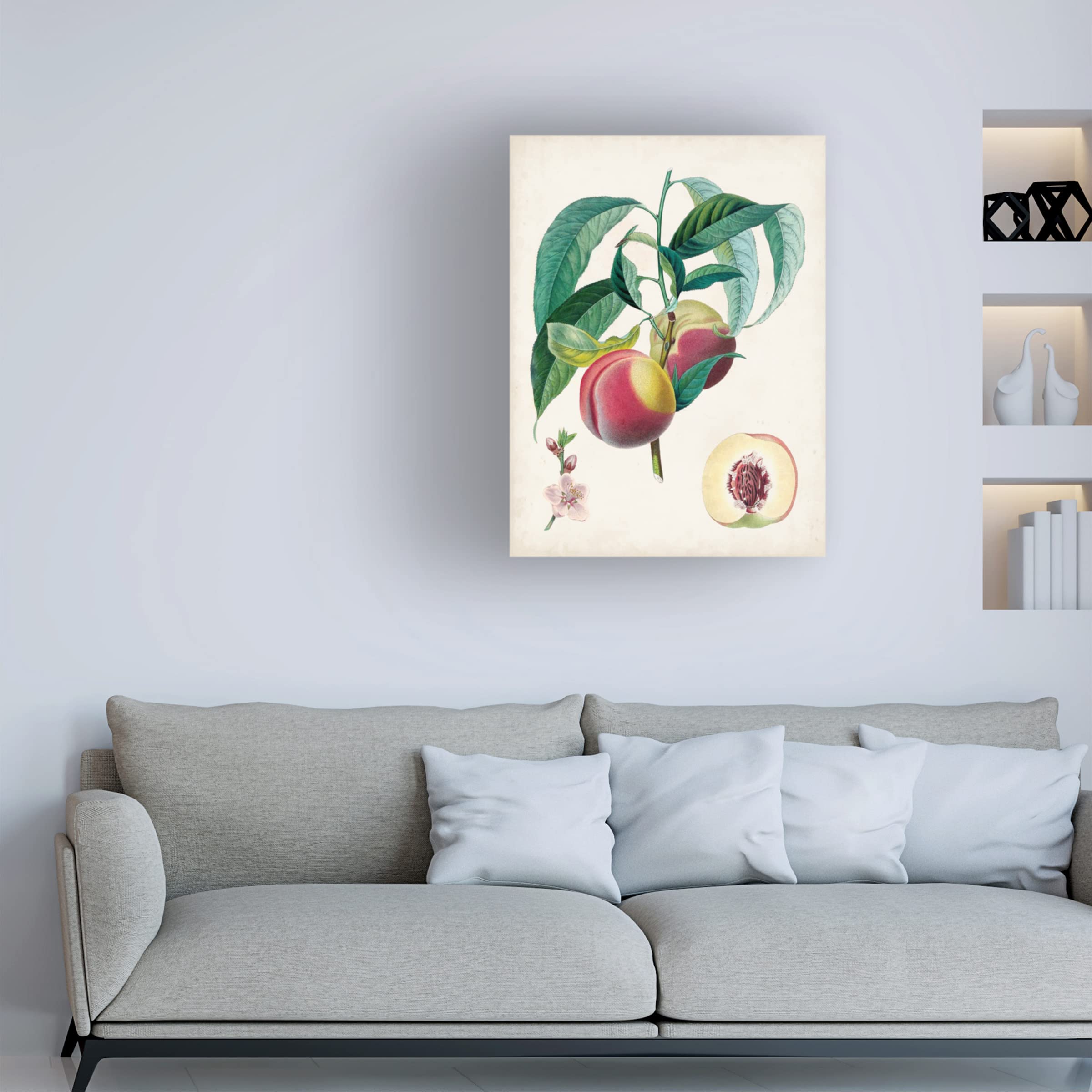Trademark Fine Art 'Belle Bauce' Canvas Wall Art by Pierre Antoine Poiteau - Floral Painting for Living Room, Bedroom & Office Decor