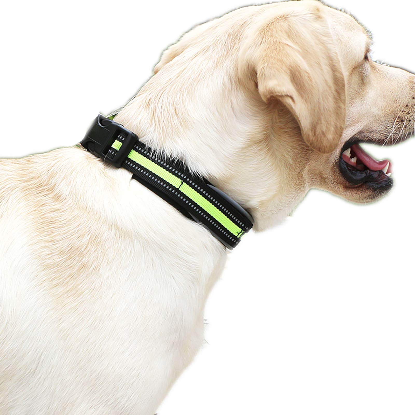 Reflective Dog Collar for Large & Small Breeds - Night Safety
