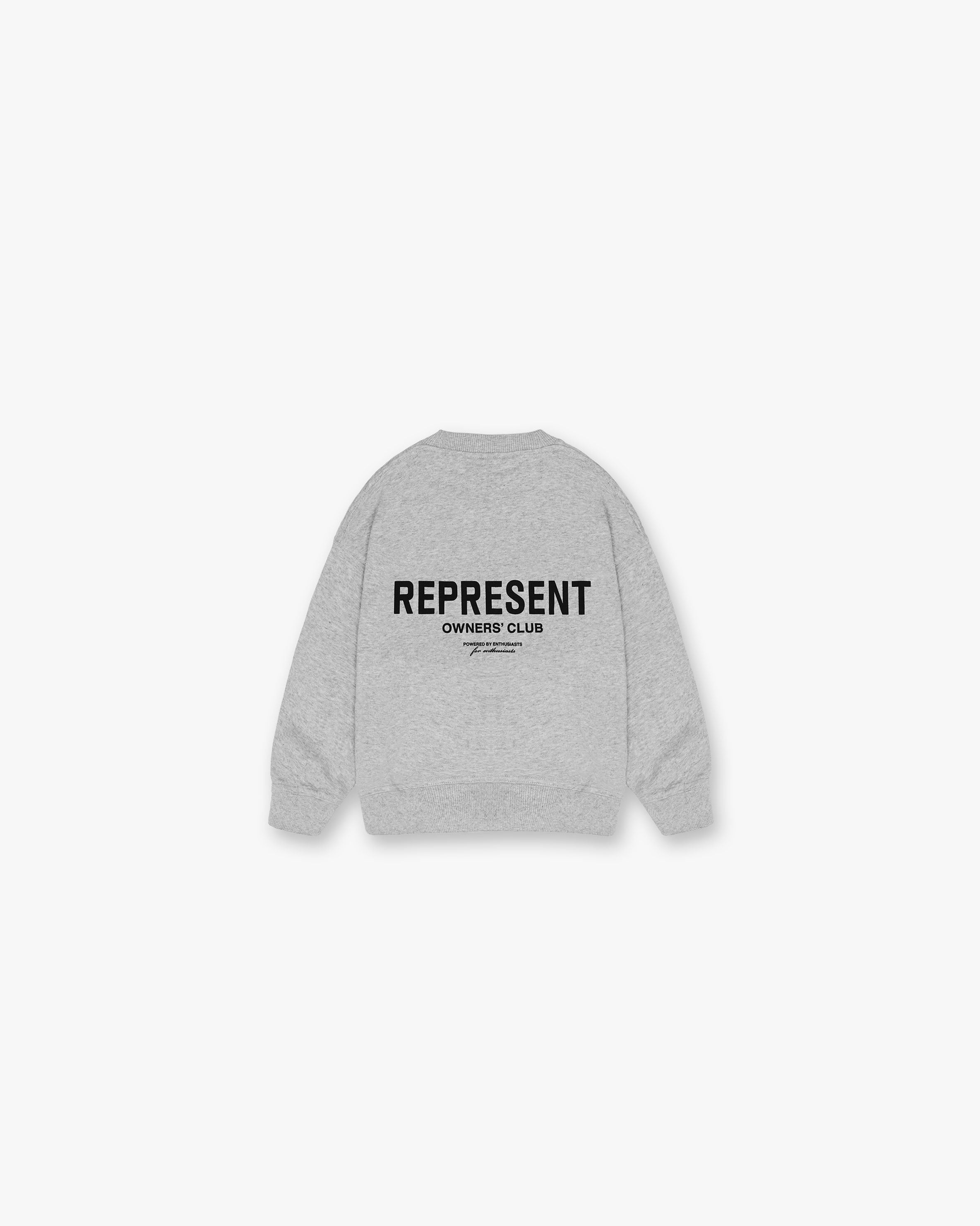 Represent Mini Owners Club Sweater - Ash Grey | Soft & Stylish Knit Pullover for Women | Perfect for Casual Outings & Layering