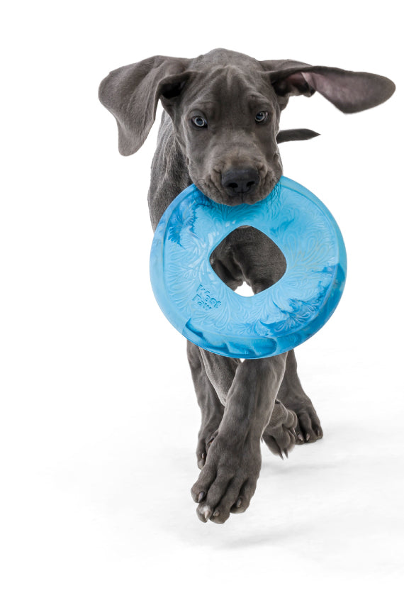 Saliz Seaflex Flying Disc Dog Toy - Durable Fetch Frisbee for Outdoor Play, Beach, Park & Backyard Fun - Best for Active Dogs & Puppies