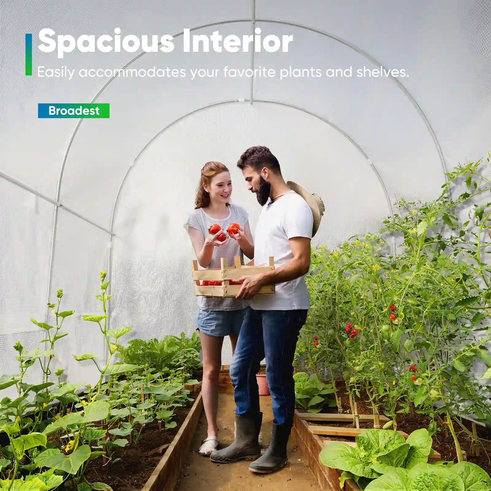 10' x 6.6' x 6.6' Premium Walk-in Greenhouse for Outdoor Gardening - Perfect for Growing Vegetables, Flowers & Herbs in Backyard or Patio