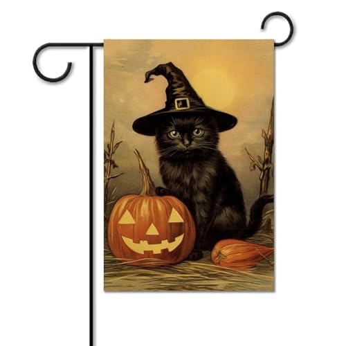 Witch Cat