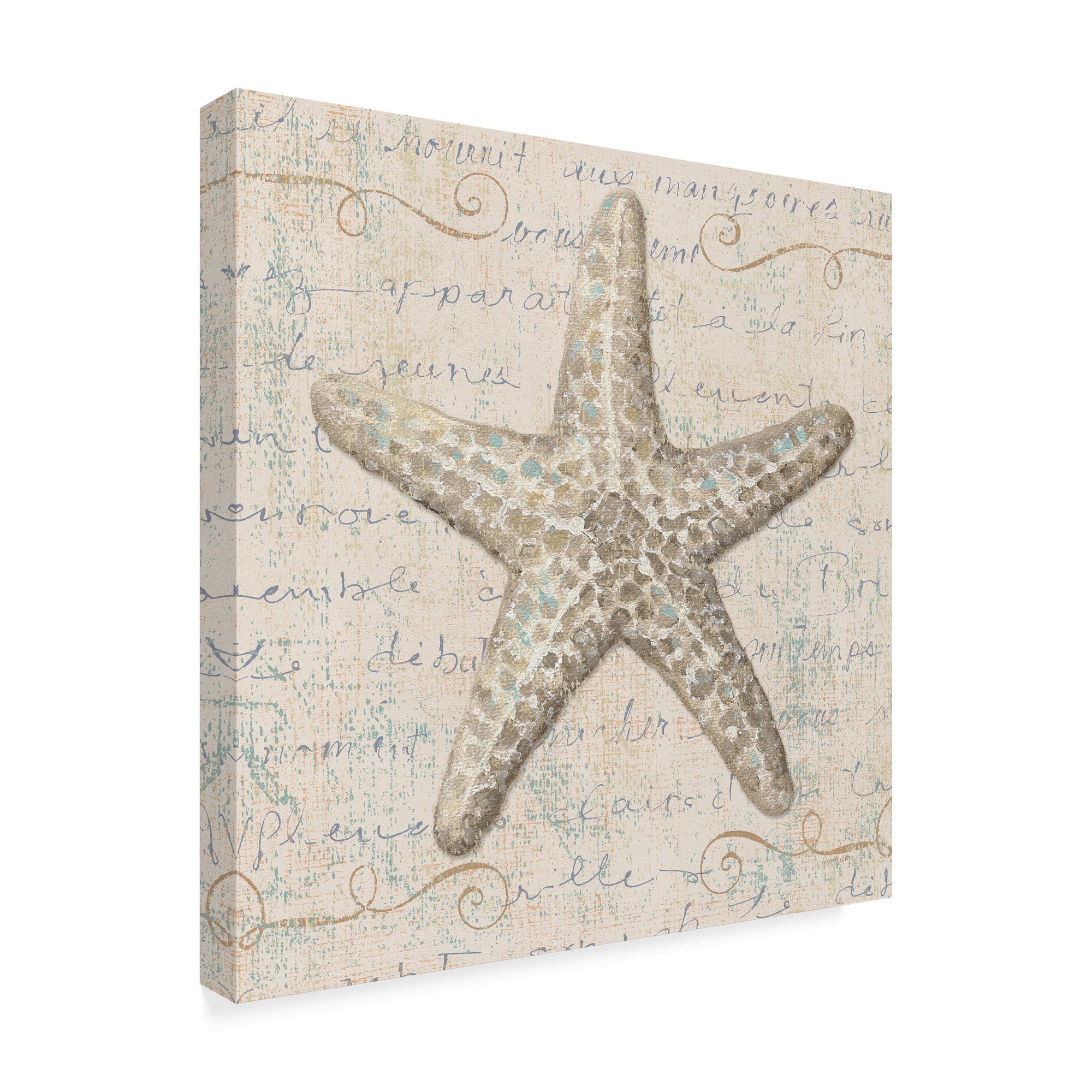 Coastal Beauty II by Lisa Audit - 24x24 Inch Wall Art Canvas Print, Beach Home Decor for Living Room, Bedroom & Office