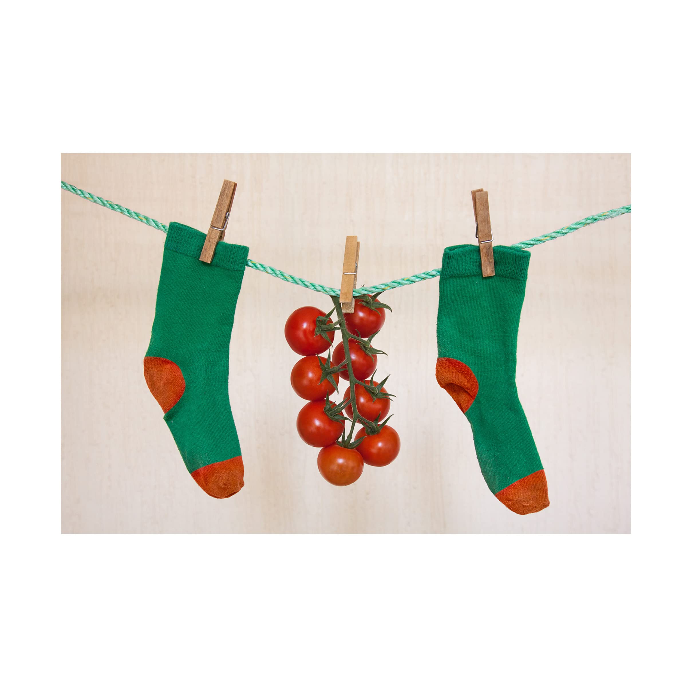 Trademark Fine Art 'Line Ripened Tomatoes' Canvas Wall Art by Jacqueline Hammer - Vibrant Kitchen Decor & Dining Room Painting for Farmhouse Style Homes