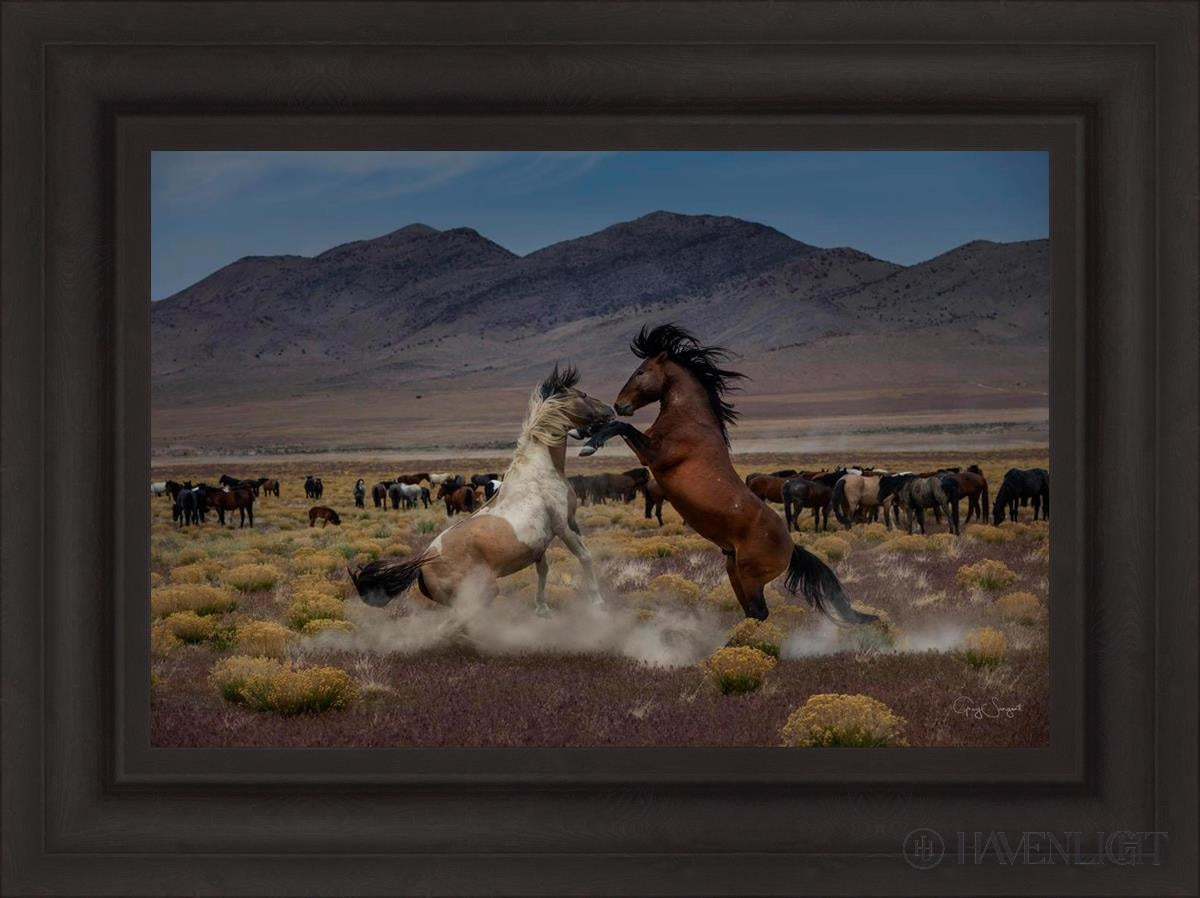 Desert Duel 5 by Greg Sargent - Western Action Novel - Perfect for Book Clubs & Cowboy Adventure Fans